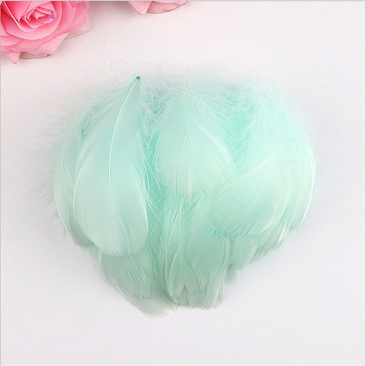 Light green Feather 20 Pcs