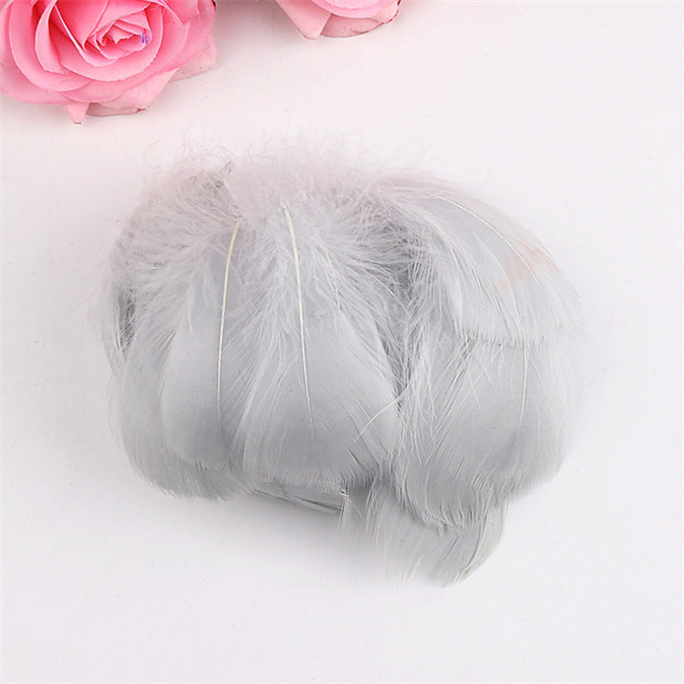 Gray Feather 20 Pcs