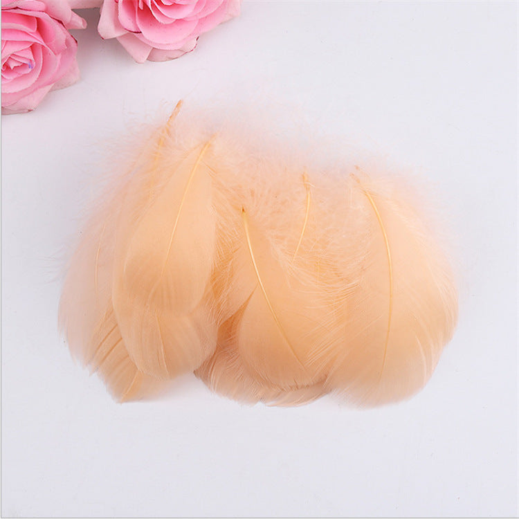 Champagne Feather 20 Pcs