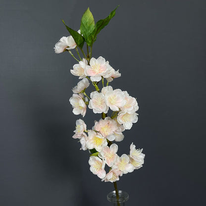 Peach Blossom